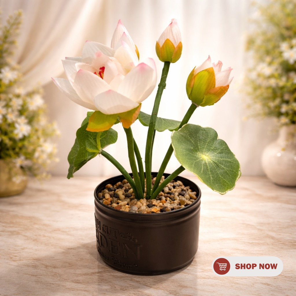 untitled design 2026 03 18t153513.051