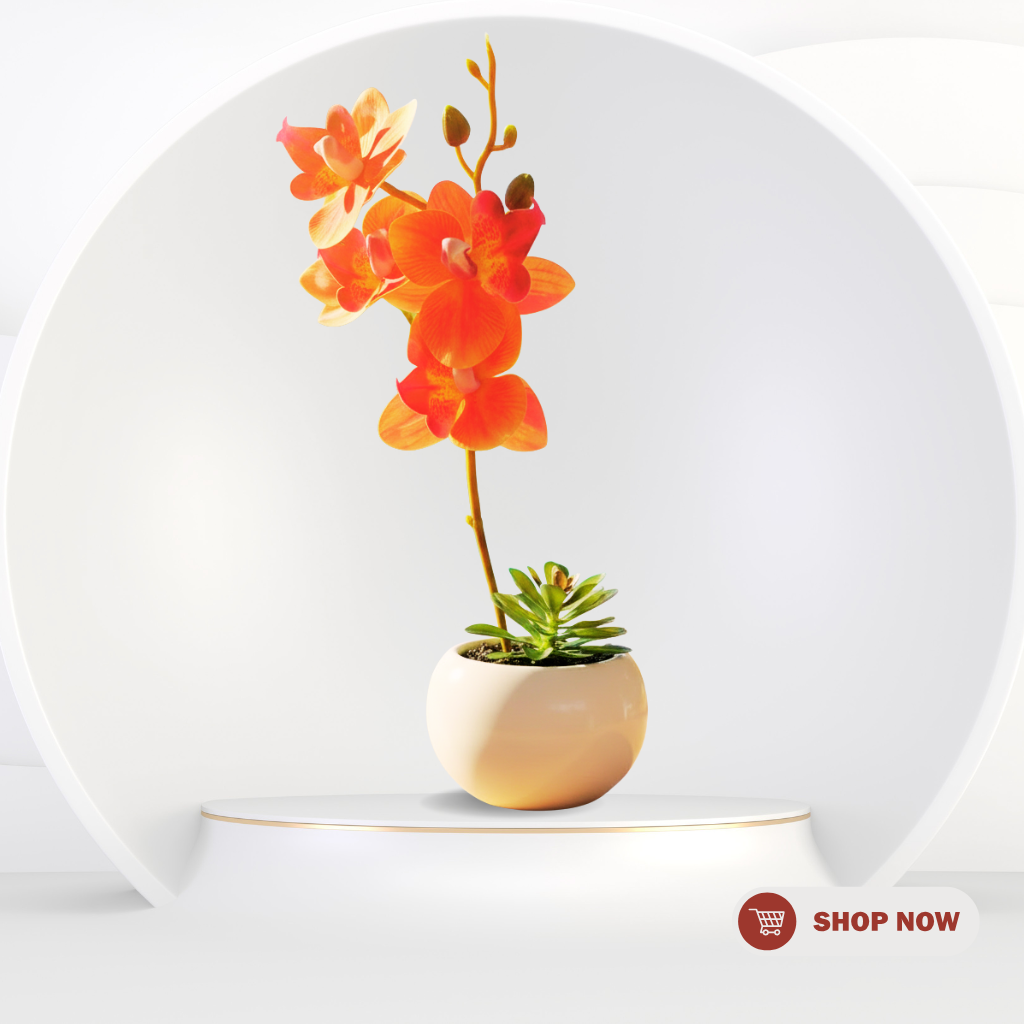 untitled design 2026 03 18t153544.497